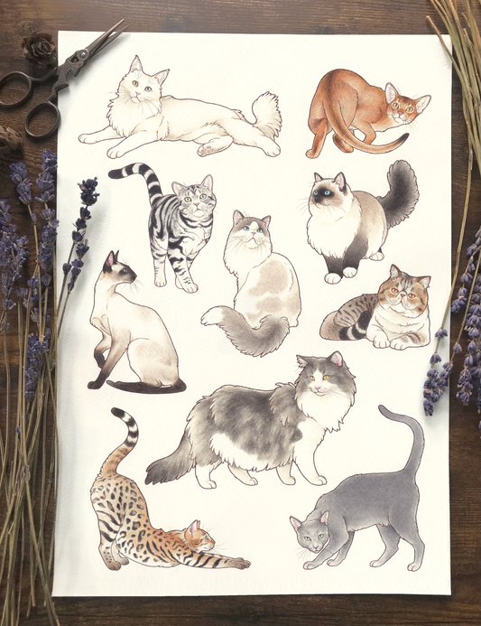 Cats