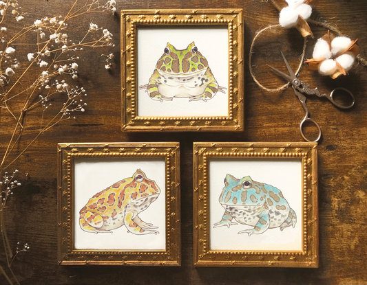 Horned frogs