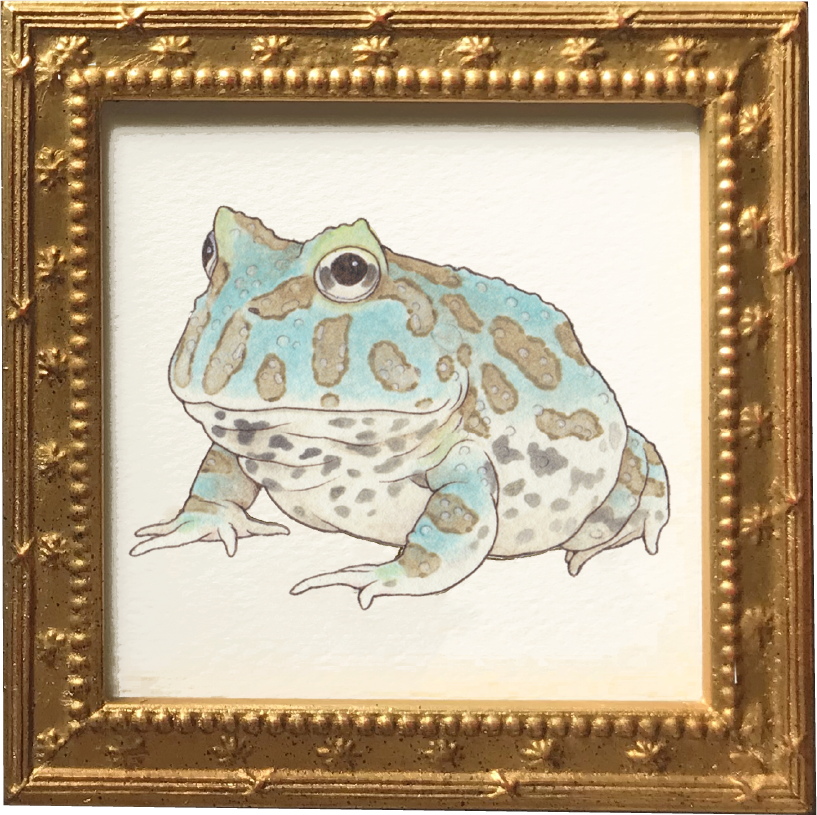 Horned frogs ベルツノガエル3点セット (額装付)